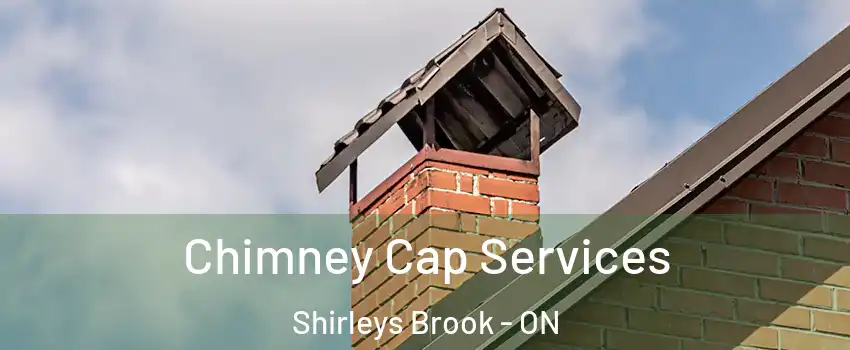  Chimney Cap Services Shirleys Brook - ON