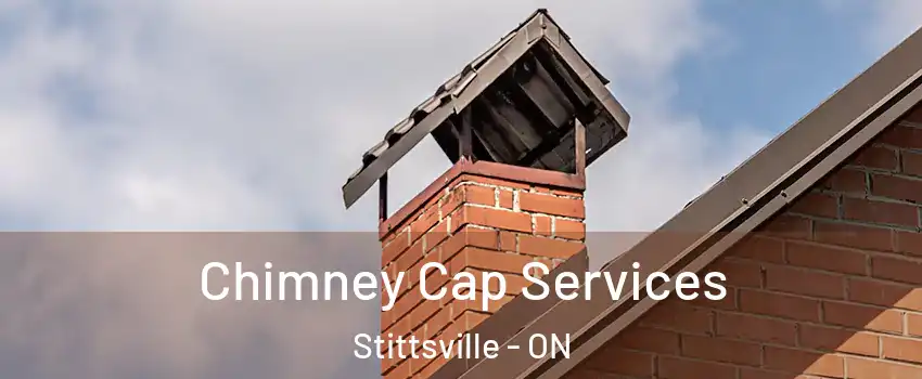  Chimney Cap Services Stittsville - ON