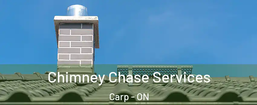  Chimney Chase Services Carp - ON