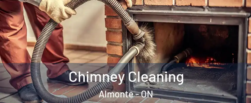  Chimney Cleaning Almonte - ON