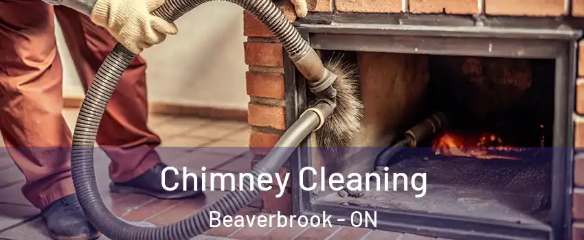  Chimney Cleaning Beaverbrook - ON