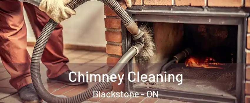  Chimney Cleaning Blackstone - ON