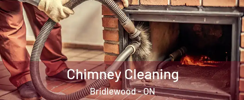  Chimney Cleaning Bridlewood - ON
