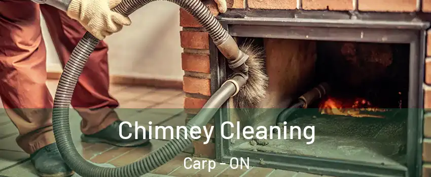  Chimney Cleaning Carp - ON