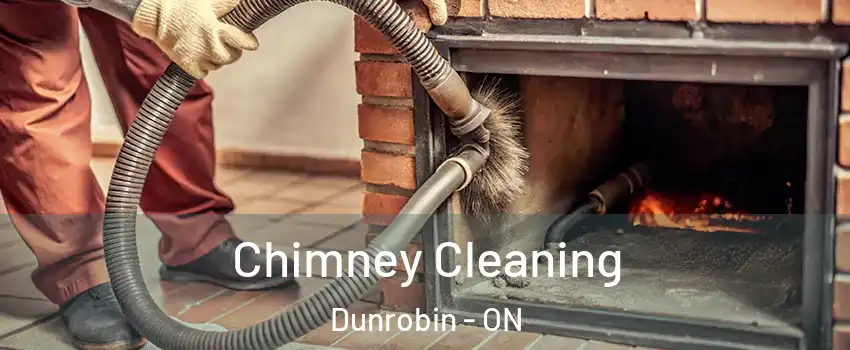  Chimney Cleaning Dunrobin - ON