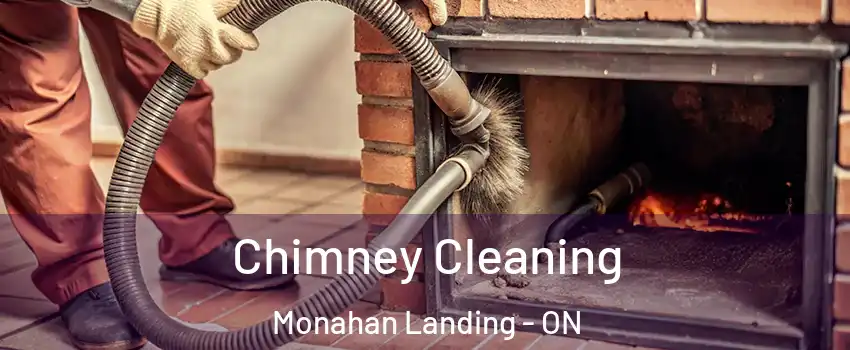  Chimney Cleaning Monahan Landing - ON