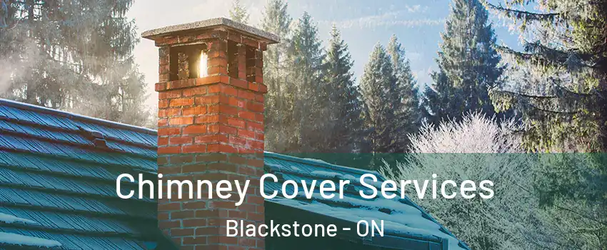 Chimney Cover Services Blackstone - ON