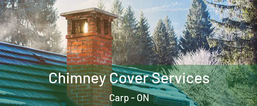  Chimney Cover Services Carp - ON
