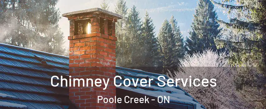  Chimney Cover Services Poole Creek - ON