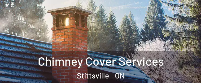 Chimney Cover Services Stittsville - ON