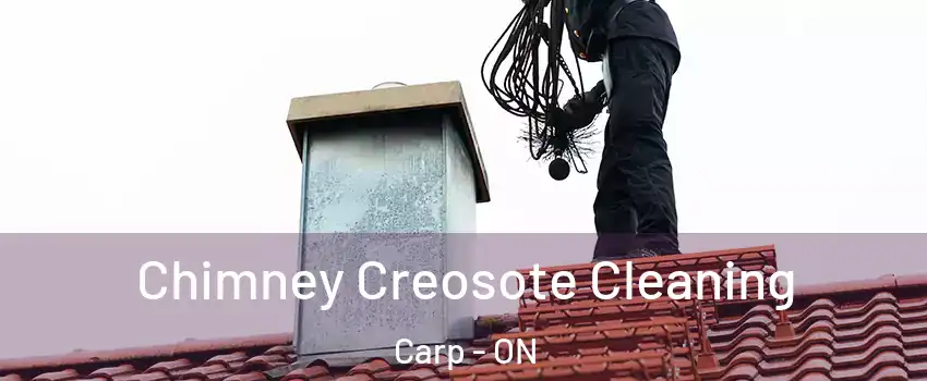 Chimney Creosote Cleaning Carp - ON
