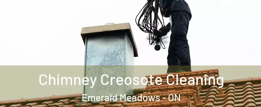  Chimney Creosote Cleaning Emerald Meadows - ON