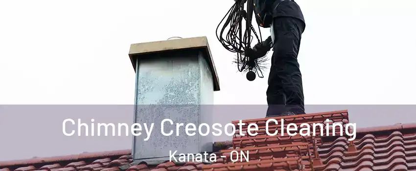  Chimney Creosote Cleaning Kanata - ON