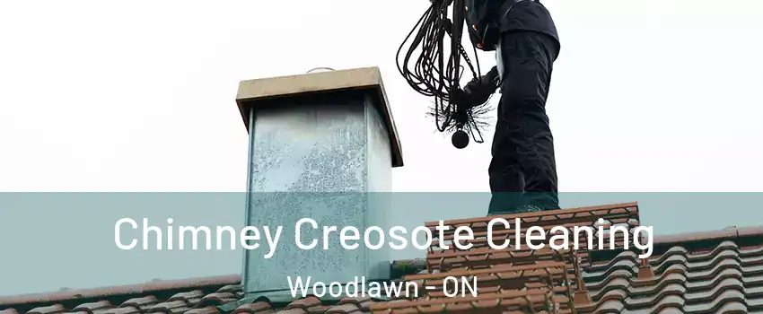  Chimney Creosote Cleaning Woodlawn - ON