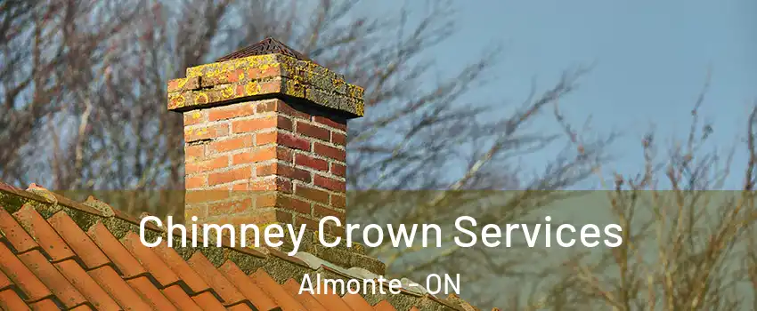  Chimney Crown Services Almonte - ON