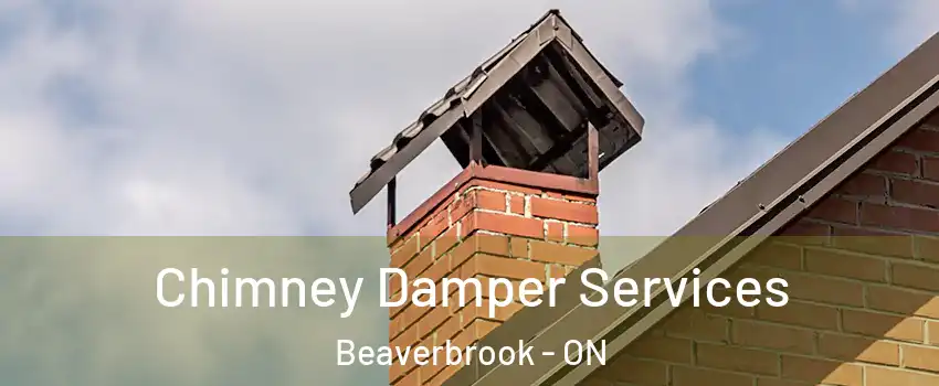  Chimney Damper Services Beaverbrook - ON