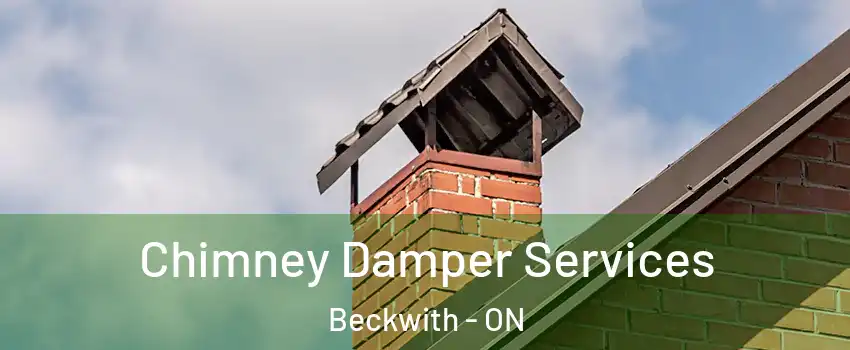Chimney Damper Services Beckwith - ON