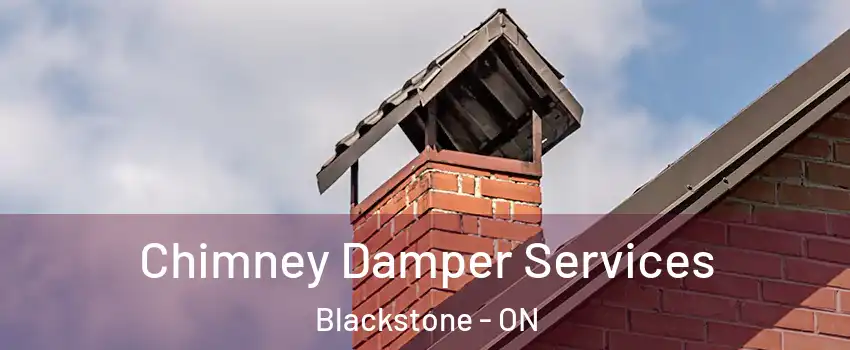 Chimney Damper Services Blackstone - ON