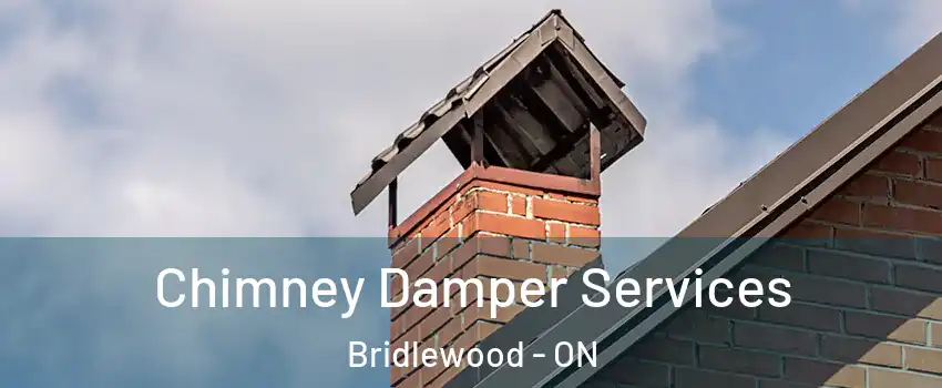  Chimney Damper Services Bridlewood - ON
