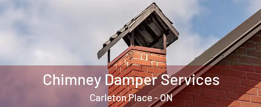  Chimney Damper Services Carleton Place - ON
