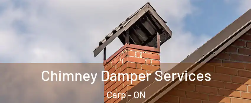  Chimney Damper Services Carp - ON