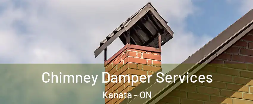 Chimney Damper Services Kanata - ON