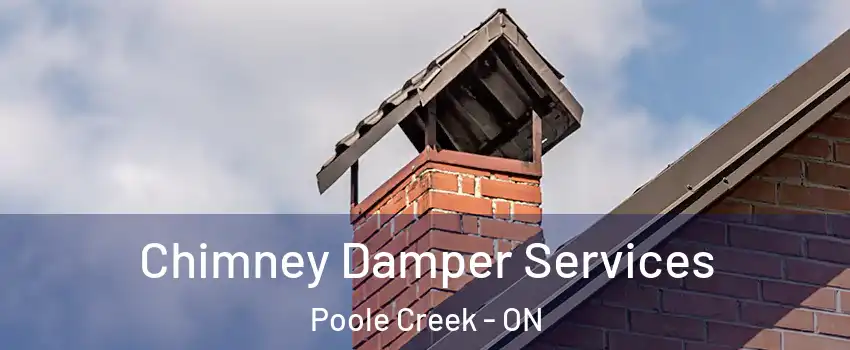  Chimney Damper Services Poole Creek - ON