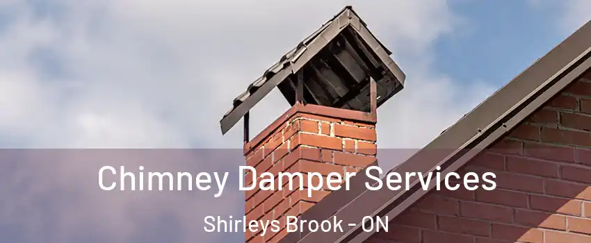  Chimney Damper Services Shirleys Brook - ON