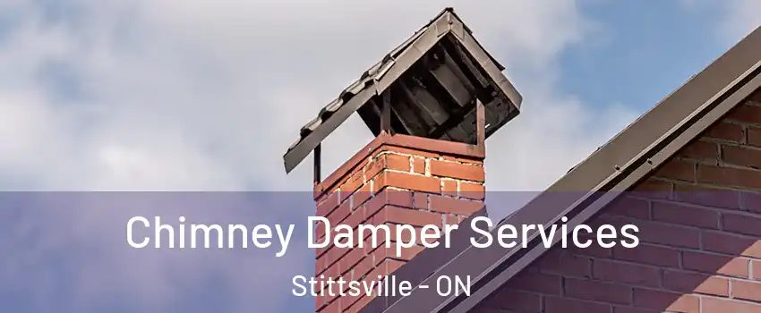  Chimney Damper Services Stittsville - ON