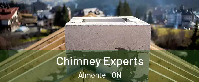  Chimney Experts Almonte - ON