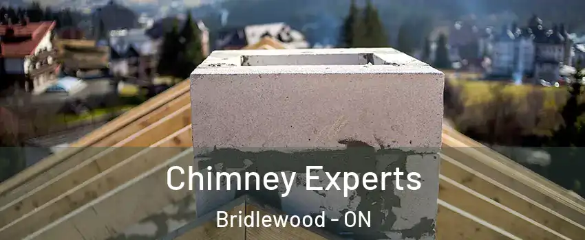 Chimney Experts Bridlewood - ON