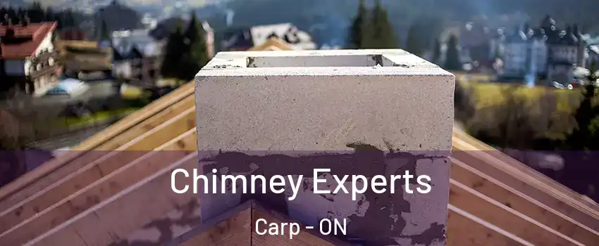  Chimney Experts Carp - ON