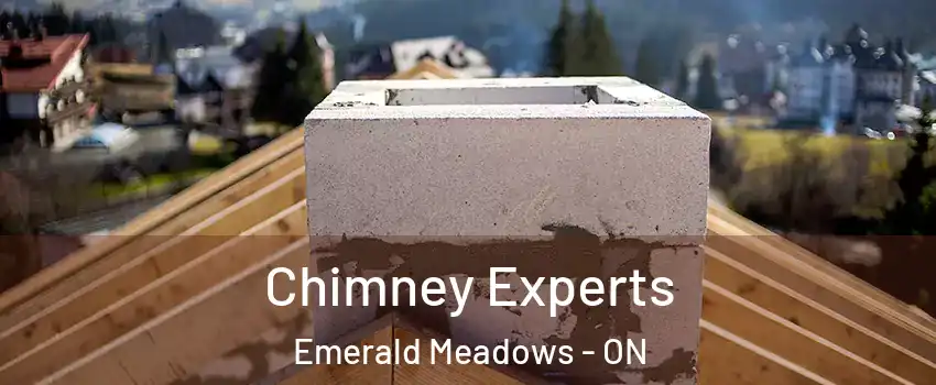  Chimney Experts Emerald Meadows - ON