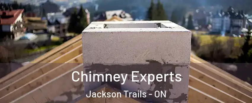 Chimney Experts Jackson Trails - ON