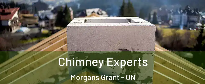 Chimney Experts Morgans Grant - ON