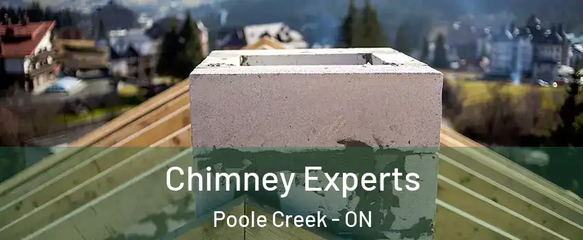  Chimney Experts Poole Creek - ON