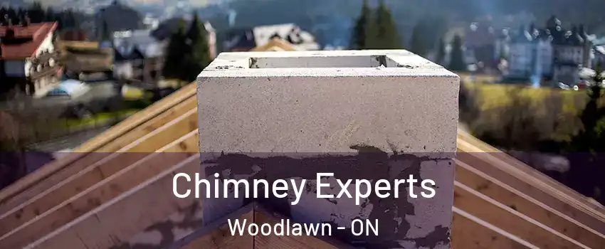  Chimney Experts Woodlawn - ON