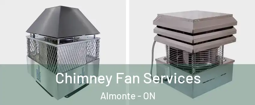 Chimney Fan Services Almonte - ON