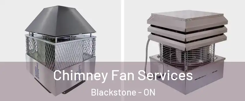  Chimney Fan Services Blackstone - ON