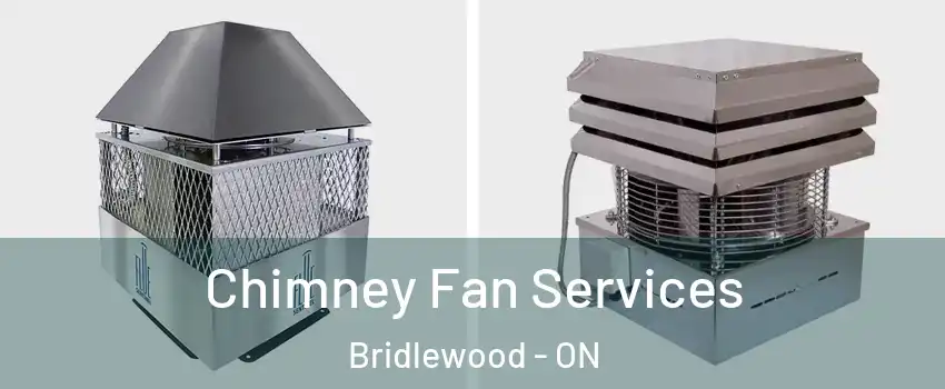 Chimney Fan Services Bridlewood - ON