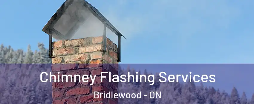 Chimney Flashing Services Bridlewood - ON