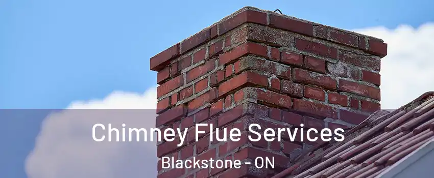  Chimney Flue Services Blackstone - ON