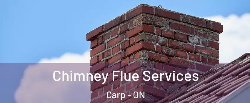  Chimney Flue Services Carp - ON