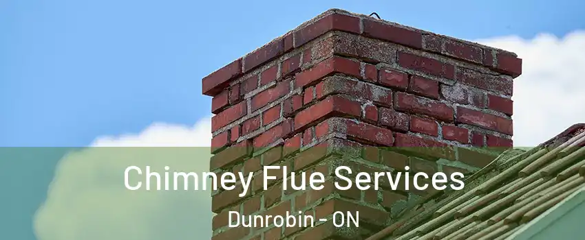  Chimney Flue Services Dunrobin - ON