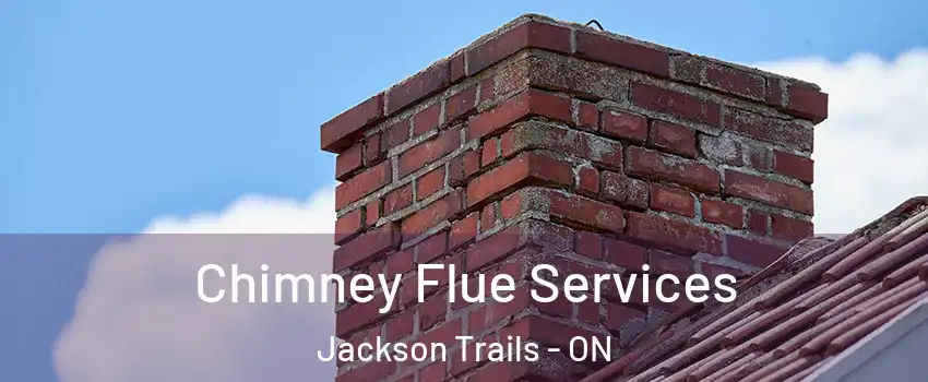  Chimney Flue Services Jackson Trails - ON