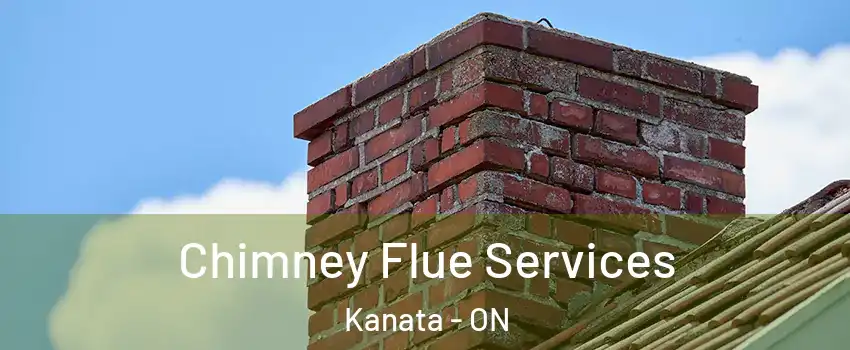  Chimney Flue Services Kanata - ON