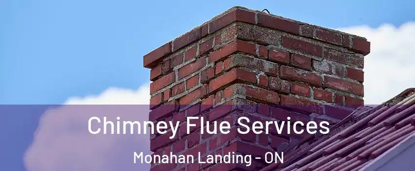  Chimney Flue Services Monahan Landing - ON