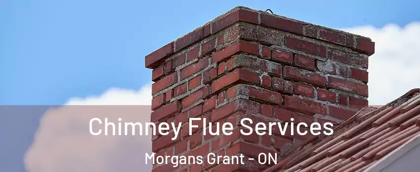  Chimney Flue Services Morgans Grant - ON