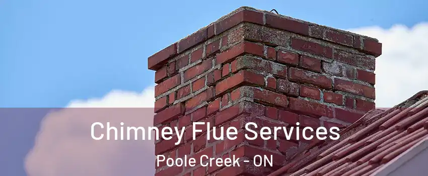  Chimney Flue Services Poole Creek - ON