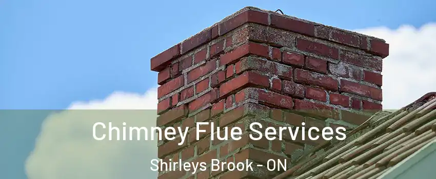  Chimney Flue Services Shirleys Brook - ON